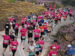 2026奉化马拉松：13000跑者共赴浪漫赛道盛宴